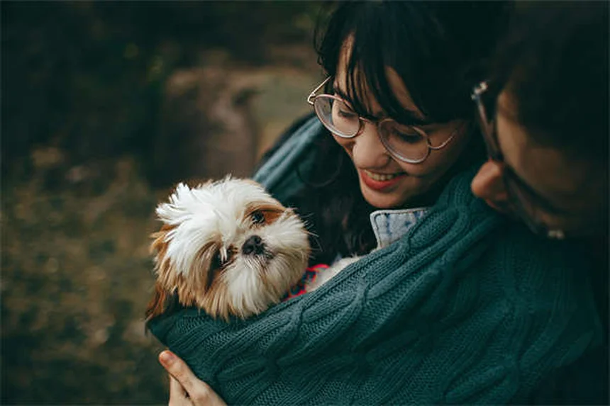 愛犬が「怒ってる」は誤解？犬の本当の感情と正しい見分け方